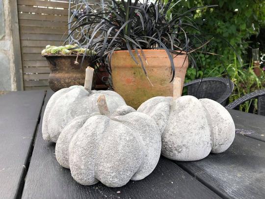 gresskar i betong sammen med levende planter på et bord i hagen