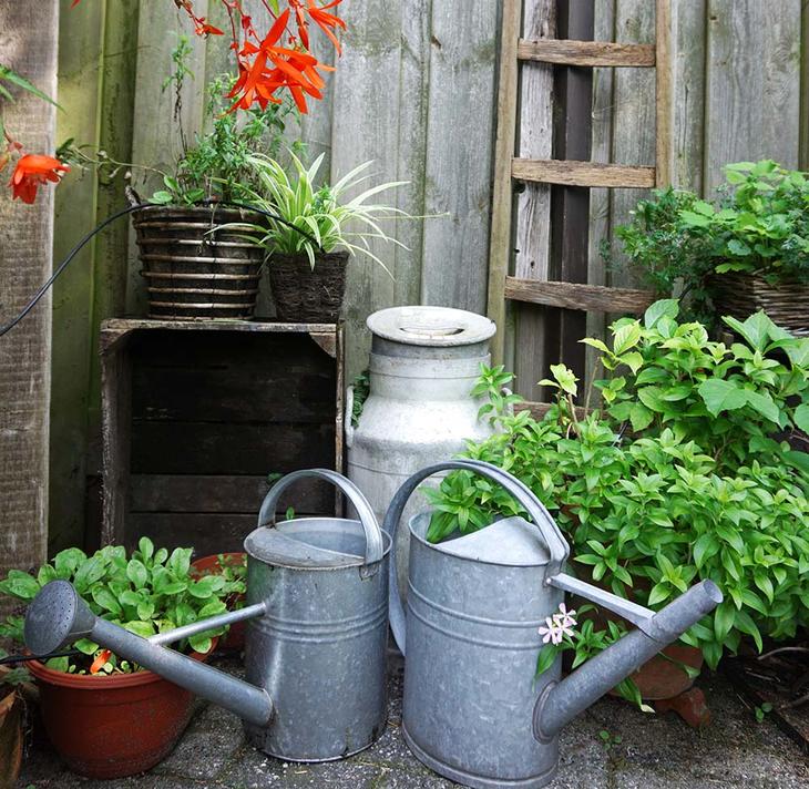 To vannkanner i sink i et hyggelig hagerom, foran grønne planter og et gammelt melkespann. 