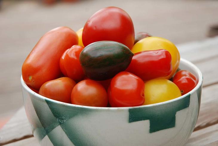 Mange tomater i forskjellige farger i en poreslensskål hvitt og grønt fra Egersund. 