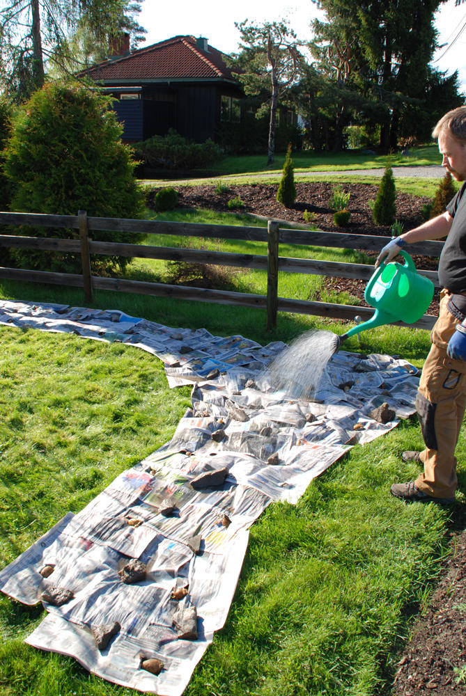 En mann vanner aviser som ligger på en gressplen. 