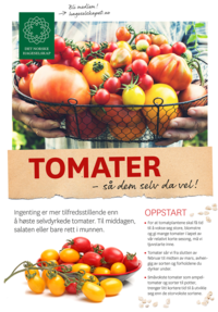 Brosjyre om tomatdyrking