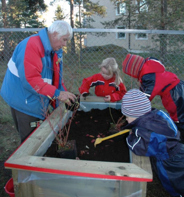Voksne og barn lager plantekasse til bærbusker. 