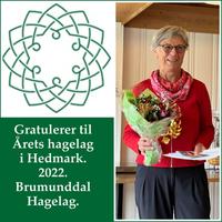 Årets hagelag Hedmark 2022