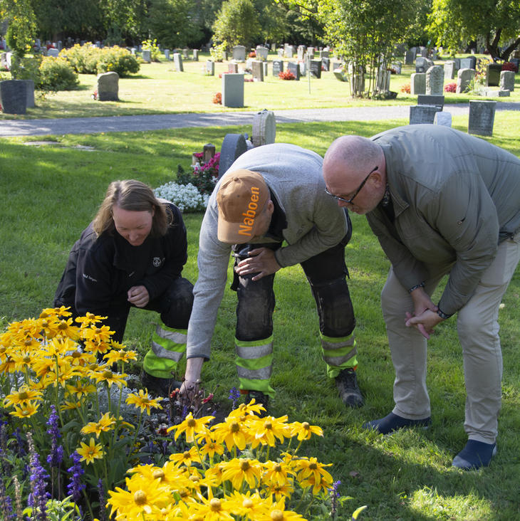 Tre mennesker sjekker vannhusholdningen i jorda på en grav. 