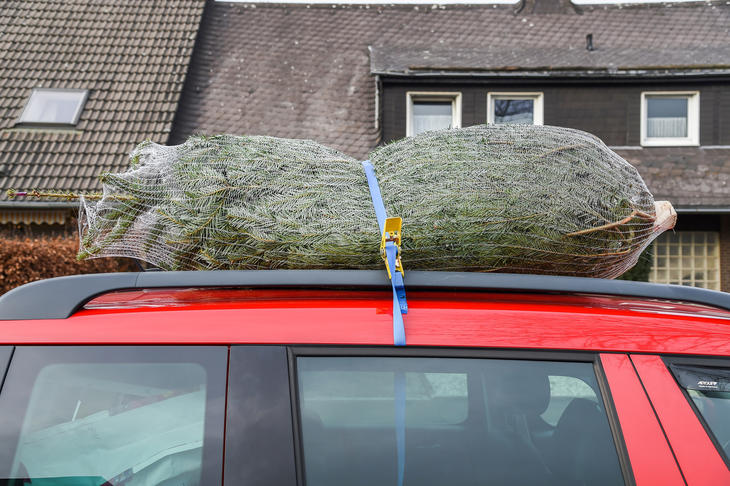 Et juletre trukket med netting ligger fastspent på taket av en rød bil. 