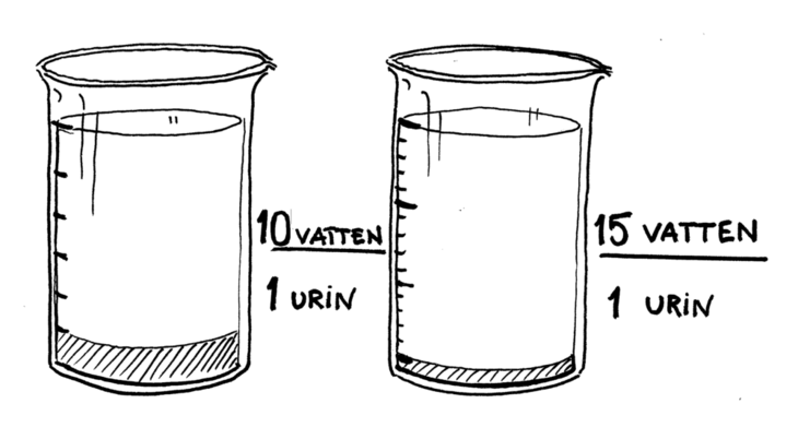 En illustrasjon som viser blandingsforholdene ved uttynning av urin til gullvann. 