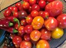 Hva kan vi lage av tomater