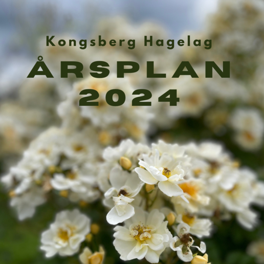 Blomster og teksten årsplan 2024