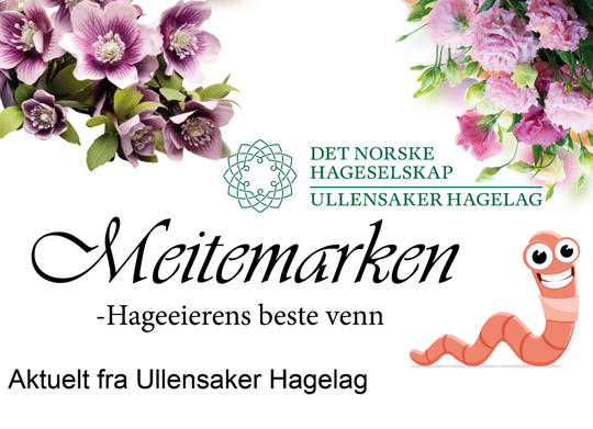 Logo / header Meitemarken