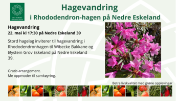 Hagevandring i Rhododendronhagen på Nedre Eskeland